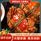 【活蟹】哆鮮園大閘蟹 鮮活溱湖籪蟹 精品螃蟹海鮮生鮮水產(chǎn)禮品 精品全母3兩/只（8只）