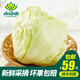 小湯山 結(jié)球生菜 約350g 新鮮蔬菜基地種植當(dāng)天采摘