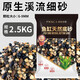 瘋狂水草魚缸造景裝飾溪流石底部砂石天然溪流缸南美缸造景石烏龜躲避曬臺 溪流砂粗?！?斤裝】0.6-0.9CM