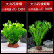瘋狂水草（FKSC）真水草魚(yú)缸造景套餐凈化水質(zhì)懶人魚(yú)缸水草植物直接入缸蜈蚣草 【火山石】綠菊+蜈蚣草