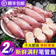 慧鮮森 海兔子滿籽筆管魚鮮活冷凍海鮮籽烏章魚新鮮墨魚仔小魷魚烏賊 2斤(凈重)
