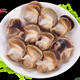 新鮮現(xiàn)剝海螺香螺肉海鮮鮮活水產(chǎn)大海螺即食冷凍玉螺肉去內(nèi)臟 1斤裝 500g