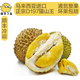 貓山王榴蓮整果D197 液氮冷凍鎖鮮 口感更細膩 超高性?xún)r(jià)比 保3房3-3.49斤/個(gè)