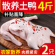 崠鮮 新鮮鴨肉生鮮白條鴨冷凍整只 煲湯食材鴨子肉 鴨子 凈1000g*2只