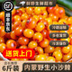 內(nèi)蒙正宗野生沙棘果【順豐JD冷鏈】小果新鮮冷凍沙棘鮮漿果水果 【野生沙棘】3斤20袋（70g/袋）純天然|無農(nóng)殘
