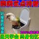 米拉莫鸚鵡定點(diǎn)排便神器誘導(dǎo)劑防止鸚鵡八哥亂拉亂尿?qū)Ｓ枚c(diǎn)廁所噴霧劑 【單瓶裝】當(dāng)天學(xué)會(huì)
