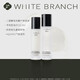 枝白 WHITE BRANCH枝白輕透控油水乳護膚套裝清爽型保濕提亮控油補水滋潤學(xué)生男女 輕透水乳組合