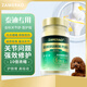 ZAMERAO泰迪貴賓專用鯊魚軟骨素醫(yī)護(hù)版狗狗養(yǎng)護(hù)關(guān)節(jié)炎病疼痛瘸腿修復(fù)髕骨脫位骨折髖骨損傷成幼老犬用 【泰迪專用】100片樂(lè)享裝