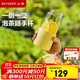 北鼎（Buydeem）茶水分離玻璃水杯高顏值車(chē)載便攜隨手杯辦公室泡茶杯鵝仔黃470ml