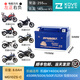 猛獅電池猛獅凱越 250R刺鳥(niǎo) 321R/RR 400X/F 500X/F 525X 摩托車(chē)12V蓄電池 400X/F 500X/F 猛獅：8.6A