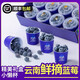 諸氏橙品【現摘-空運】云南藍莓水果 新鮮大果 花香藍莓鮮果孕婦時(shí)令生鮮 480g小懶杯-禮盒裝（大果15mm+）
