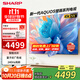 SHARP夏普電視P7HA系列壁畫電視55/65/75/85英寸4K高清量子點(diǎn)廣色域 240HZ高刷4+64G鯨曜面板液晶電視機(jī) 55英寸 高刷游戲電視4T-C55P7HA 官方標(biāo)配