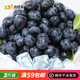 喜德農冷凍新鮮藍莓 1kg*1袋 速凍水果果汁飲品果醬拌酸奶烘焙原料順豐 冷凍藍莓1kg*1袋