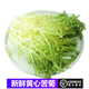 桃李村【順豐】新鮮黃心苦菊 苦葉生菜狗牙菜苦細葉沙拉菜食材 500g