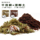 逸樂(lè)寵寄居蟹高保濕苔蘚不積水可蛻皮提高存活率新手椰土墊材墊料 4_寄居蟹用【椰土+干苔蘚】共2袋