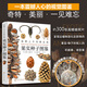 世界上不可思議的果實種子圖鑒