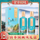 瀘州老窖股份出品 瀘州迎賓酒潤澤天下禮盒裝 中秋節(jié)送禮用酒 52%vol 500mL 2瓶