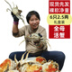 【活蟹】 固城湖大閘蟹鮮活螃蟹 現貨 精品母蟹 精品禮盒 1號】6只2.5兩全母蟹