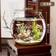 俏潔魚(yú)缸擺件圓形魚(yú)缸塑料一體成型仿玻璃防摔耐摔客廳小型桌面生態(tài)缸 巨無(wú)霸【超清8K高透 久用不糊 】