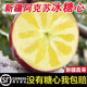 阿克蘇蘋(píng)果紅旗坡 新疆直采阿克蘇冰糖心蘋(píng)果應當季新鮮特級大果禮整箱順豐 20年老樹(shù) 9斤85mm(含)-90mm(不含)