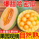 正宗山東直發(fā)哈密瓜 現摘頭茬蜜瓜新鮮當季水果現摘孕婦水果整箱 優(yōu)選精品裝 5斤帶箱凈重4.5斤1-2個(gè)