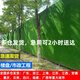 工地圍擋草坪綠草皮人造假草坪建筑工地綠色草皮圍墻圍擋塑料草坪 2cm三色草帶背膠2米*1米