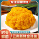 知鮮之鮮新鮮金耳菌【順豐空運(yùn)】云南特產(chǎn)精選刺身級(jí)別山珍 新鮮金耳菌（刺身級(jí)別） 500g