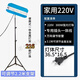 圖姆斯油工專用找平燈220V燈工地照明燈led膩子打磨燈施工碘鎢燈防水照 強光300瓦+支架+10米線