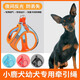 乖湃小鹿犬幼犬專用牽引繩遛狗繩超小體犬小型犬小狗胸背狗繩狗狗用品 背帶一體式牽引繩【拼色橙】 XS碼【建議3-9斤】