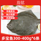 海賦 山東 多寶魚(yú)凈重300-400g*6條 海捕鮮活速凍-源頭直發(fā)