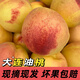守望鄉村 大連丑油桃頭茬新鮮麻臉黃肉油桃丑桃黃心油桃子應季新鮮水果 丑桃4.5斤單果150-200g