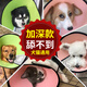 伊麗莎白圈加深大型犬狗狗寵物頭套貓咪防舔咬絕育伊莉頭罩圈加長 藍(lán)色 務(wù)必量頸圍后購買避免買大 1號巨型 頸圍56-63厘米 深34厘米