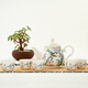 金嵐玉骨瓷花茶壺泡瓷茶壺小壺沏茶壺涼水壺單壺小號(hào)家用水具 青雀之喜-金鐘杯5個(gè)玉蘭壺 800ml