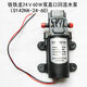 微型直流12v60w電動(dòng)抽水泵24v家用自吸隔膜泵洗車(chē)打藥高壓噴霧泵 12V60W雙直口回流泵