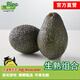 牛油果先生牛油果先生（輕食）秘魯新鮮水果進(jìn)口即食牛油果（生熟對(duì)半發(fā)貨） 大果6粒裝（單果重160g+） 生熟對(duì)半發(fā)貨