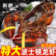 鮮馳熟凍 波士頓大龍蝦波龍加拿大進(jìn)口蝦類(lèi)活蝦大龍蝦海鮮 波士頓龍蝦 凈重400-500g*2只