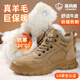 藍鷗盾勞保鞋男冬季高幫加絨防砸鋼頭防刺棉鞋安全工作功能鞋D258M-1 42