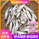 漁水依新鮮小白條魚活魚現(xiàn)殺刁子油炸淡水小河魚鮮活雜魚翹嘴商用餐條魚 10-15cm左右(20-30條) 2斤