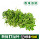 辰實【順豐】新鮮甲拋葉 打拋葉塔拋葉 食用香料塔拋葉嘎拋葉甲拋蔬菜 250g