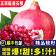 秦人農匠【順豐包郵】陜西正宗臨潼石榴現摘軟籽大果禮盒西安特產(chǎn)新鮮水果 軟籽 6枚(精品特大果8兩-1斤) 凈重5斤 彩箱 新鮮采摘 果園直發(fā) 順豐包郵