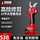 普朗德無(wú)刷電動(dòng)剪刀剪樹(shù)枝家用 電樹(shù)枝刀 充電式園林果樹(shù)修枝剪
