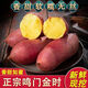 兮柔海南鳴門(mén)金時(shí)紅薯地瓜 日本進(jìn)口品種新鮮地瓜薯香甜橋頭番薯現挖 中大果9斤裝 單果100-400g
