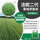 京農研農科院草坪種子藍標高羊茅草籽孑草皮卷早熟禾黑麥草公園庭院綠化 潔妮2代高檔藍標早熟禾 200克