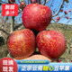 2025正宗云南高山冰糖心丑蘋果新鮮水果當(dāng)季整箱紅富士10紅露蘋果 5斤裝 嚴(yán)選大果【熱賣推薦款】