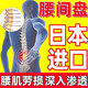 腰椎間盤(pán)突出膏藥腰疼腰肌勞損專用壓迫神經(jīng)屁股疼腿貼膏進(jìn)口藥 特效單盒裝【日本科技】多買(mǎi)多送 【日本進(jìn)口】腰椎間盤(pán)突出勞損專用特效