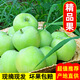 果中邢【2025現摘】山西青蘋(píng)果新鮮蘋(píng)果時(shí)令當季脆甜酸甜高檔水果整箱 凈重4.5斤大果約3-4個(gè)一斤