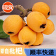 綠養道【順豐快遞】云南蒙自枇杷果 新鮮水果5斤凈重