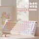 本手機械鍵盤(pán)女生粉色有線(xiàn)鍵盤(pán)無(wú)線(xiàn)藍牙三模高顏值Gasket軟彈結構臺式筆記本平板電腦游戲打字辦公鍵盤(pán) 郁金香白粉（紅軸-混光）三模版+Gasket結構
