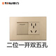 泰力118型開(kāi)關(guān)插座香檳色usb組合插座 二插網(wǎng)絡(luò)有線電視單控雙控開(kāi)關(guān) 二位~一開(kāi)雙控 開(kāi)關(guān) ~五孔插座