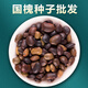 槐樹(shù)籽國槐種子新采速生可食用藥用林木種樹(shù)苗槐豆家槐凈籽 國槐種子30粒